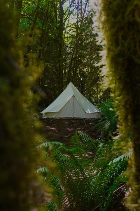 Starlight Olympic Glamping Tenda de luxo in Olympic National Park