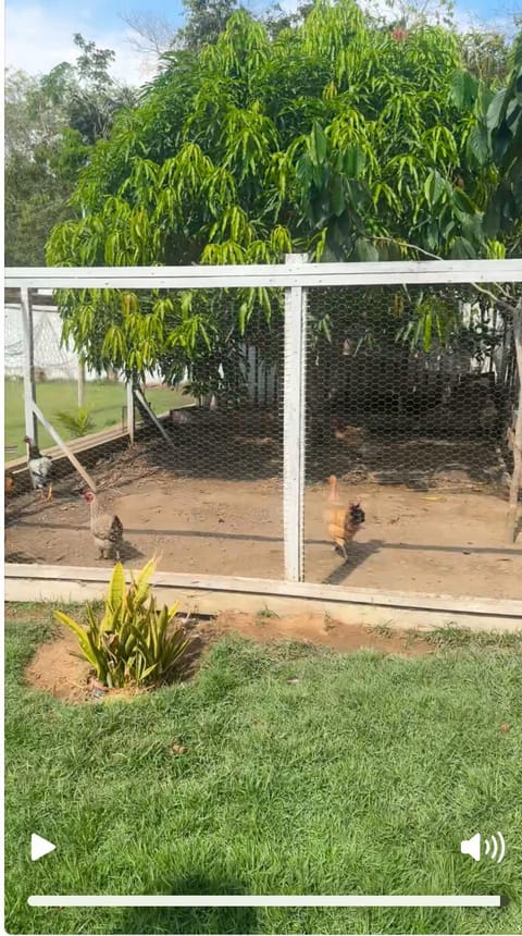 Pousada Green House in Santarém