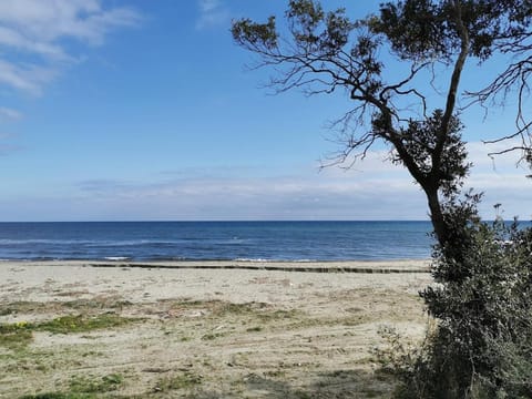 marina di bravone - corse - linguizzetta Wohnung in Linguizzetta