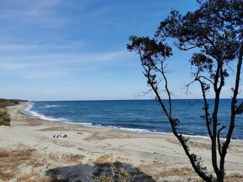 marina di bravone - corse - linguizzetta Wohnung in Linguizzetta