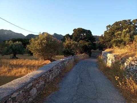 Lux of Naxos House in Naxos, Naxos and Lesser Cyclades, Greece