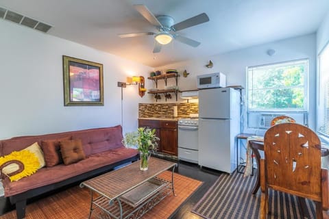 Kitchen or kitchenette, Living room, oven, stove