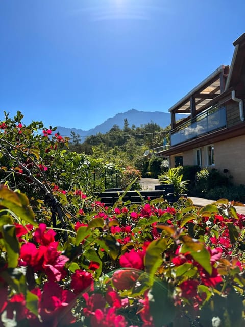 Le Pti Paradis House in Réunion