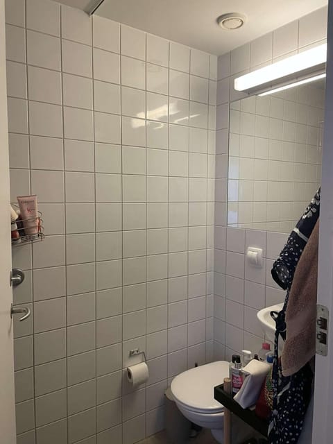 Studio Apartment - 10 Min to City Center Apartment in Copenhagen