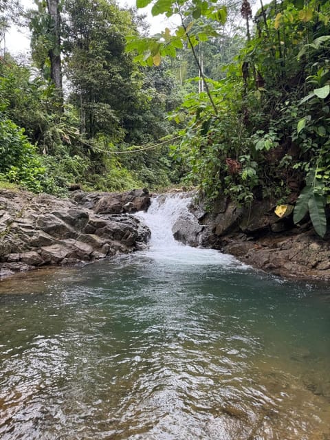 Verde Armonía Lodge House in Quepos