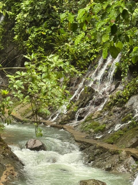 Verde Armonía Lodge House in Quepos