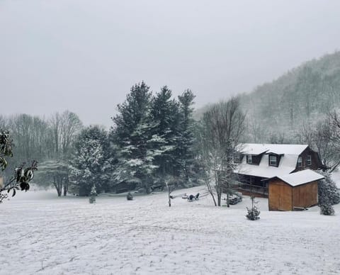 Blue Hummingbird Cabin House in Watauga