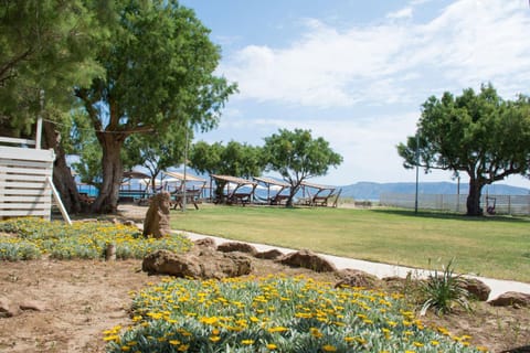 Day, Garden, Beach, Garden view