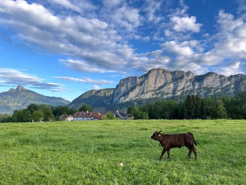 Property building, Day, Natural landscape, Animals, Mountain view