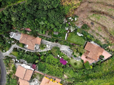 Property building, Bird's eye view