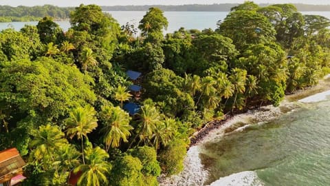 Casa Serenity By The Sea - Tree Frog House Casa in Bastimentos Island