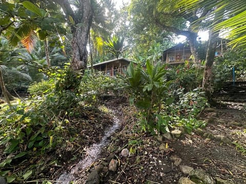 Casa Serenity By The Sea - Tree Frog House Casa in Bastimentos Island