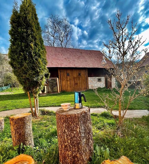 Căsuța cu livadă House in Cluj County