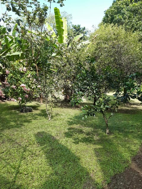 Sítio dos Guedes Country House in State of Rio de Janeiro