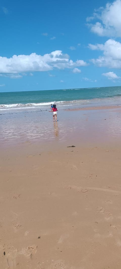 Natural landscape, Beach