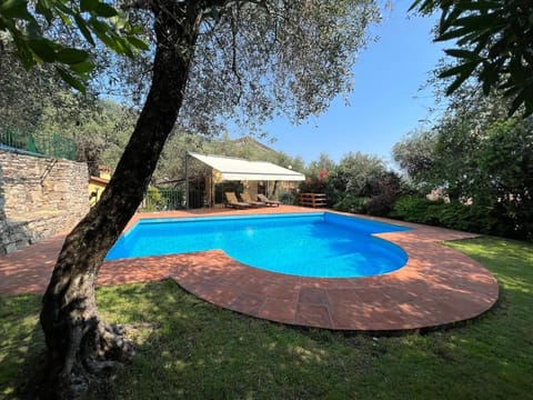 Spring, Day, Garden, Garden view, Pool view, Swimming pool, sunbed