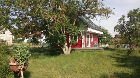 Property building, Day, Garden, Garden