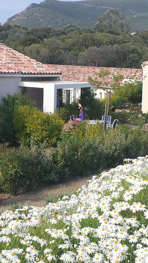 Charmante Villa 4 pers piscine terrasse 600 m de la plage Casa in Belgodère