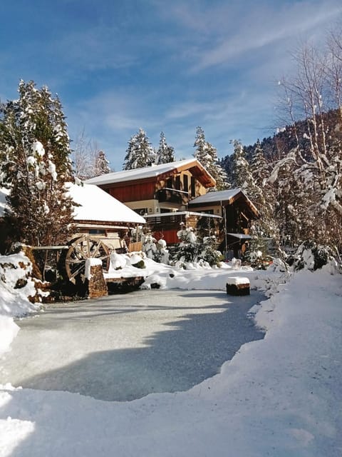 Chalet avec piscine intérieure à 5 min des pistes de ski Apartment in La Bresse