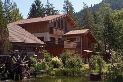 Chalet avec piscine intérieure à 5 min des pistes de ski Apartment in La Bresse