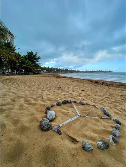 Sea La Vie Beachfront Condo With Dreaming View Apartment in Fajardo