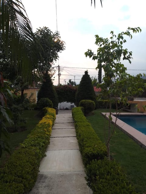 Garden view