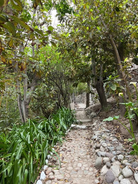 Casa con piscina, Valle del Elqui House in Coquimbo Region