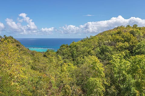 Natural landscape, Sea view