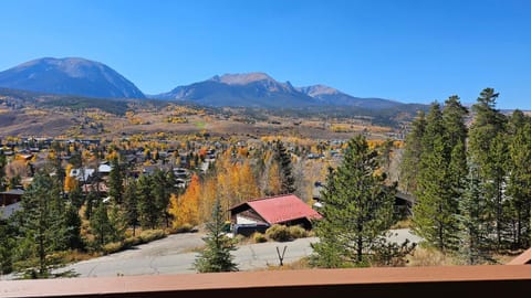 Palmers Dr 1010 House in Silverthorne