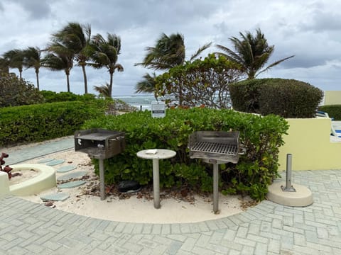 BBQ facilities, Garden, Sea view