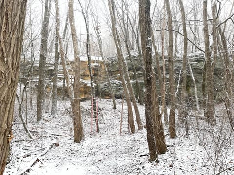 Day, Natural landscape, Winter