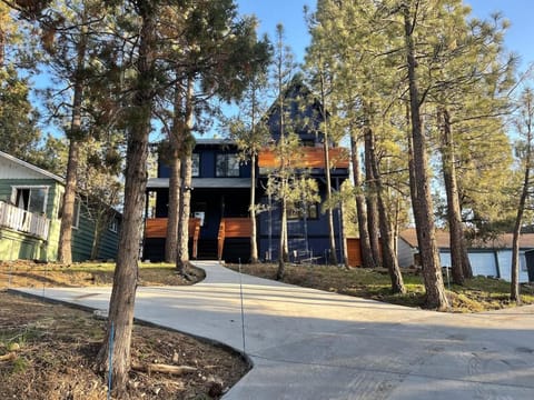 Carrera Cozy Cabin House in Big Bear