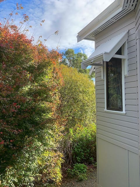 Hilltop Cottage House in Bridgetown