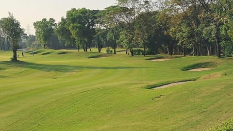 Natural landscape, Golfcourse