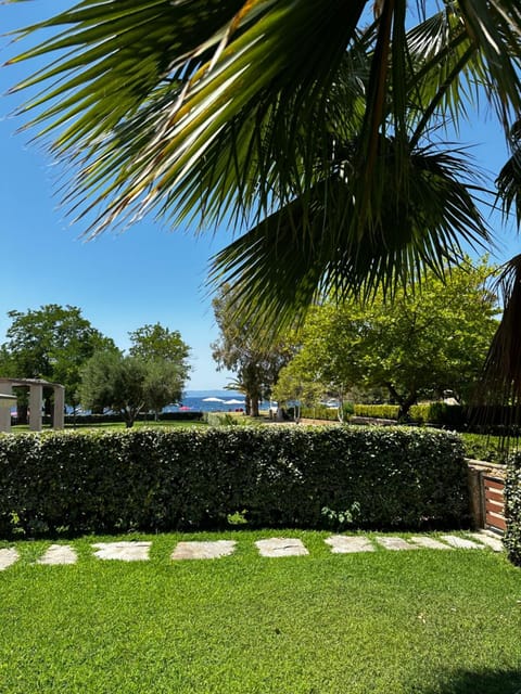 Natural landscape, Garden, Garden, Sea view