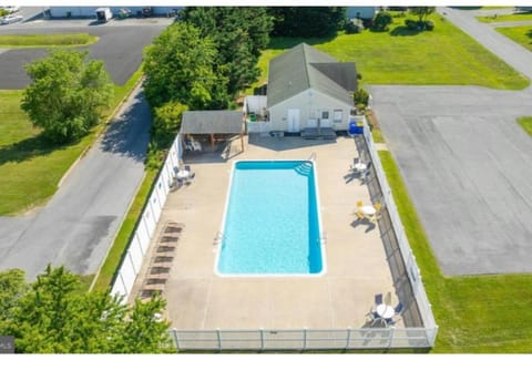 Pool view, Swimming pool, sunbed