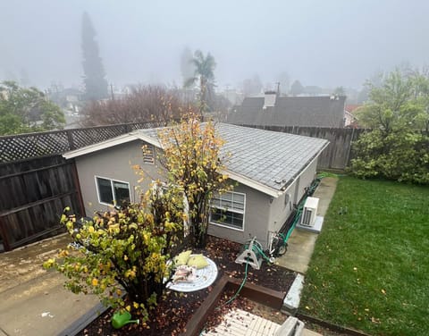 Property building, Day, Garden view