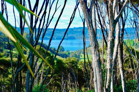 Natural landscape, Sea view