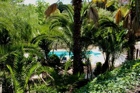 Garden view, Pool view