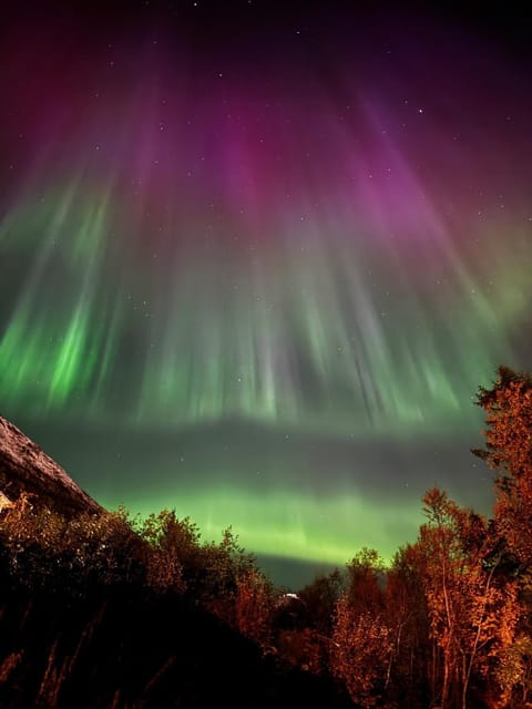 Night, Natural landscape, View (from property/room), View (from property/room)