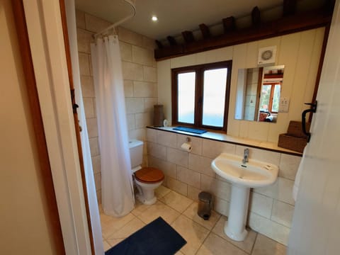 Bullrush at White Pond Farm House in Wycombe District