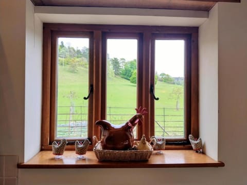 Cowslip at White Pond Farm House in Wycombe District