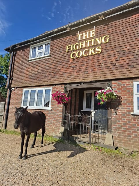 The Fighting Coks Hotel in New Forest District