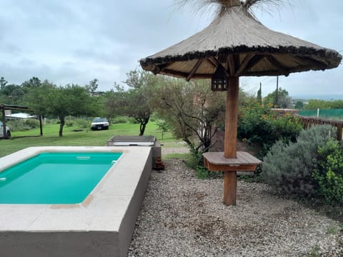 Garden, Pool view, Swimming pool