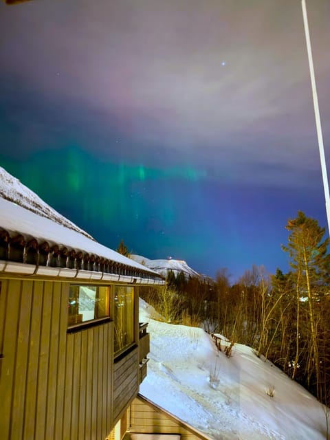 Night, Natural landscape, Winter