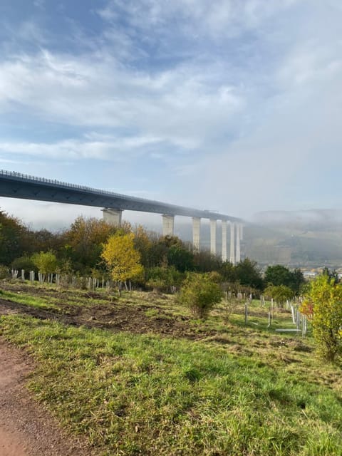 Weinhof Michael Morbach Bed and Breakfast in Cochem-Zell