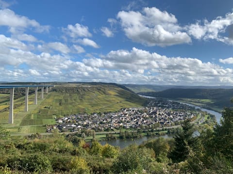 Weinhof Michael Morbach Bed and Breakfast in Cochem-Zell