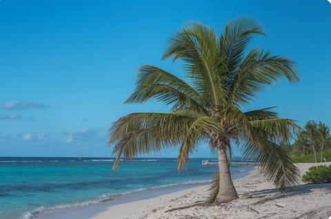 Sunparadise House in Grand Cayman