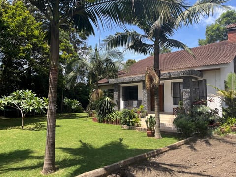 Property building, Garden, Garden, Garden view