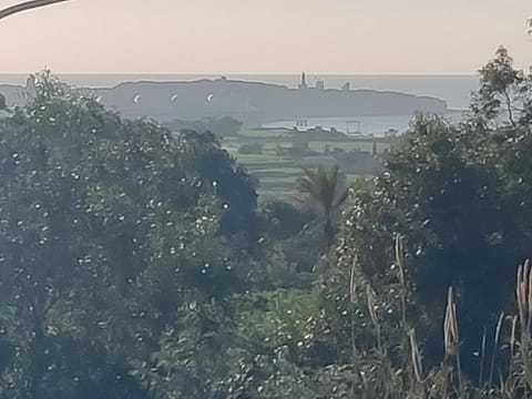 Marsaxlokk Farmstay Equine Centre House in Malta